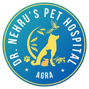 nehru pet hospital 300x300
